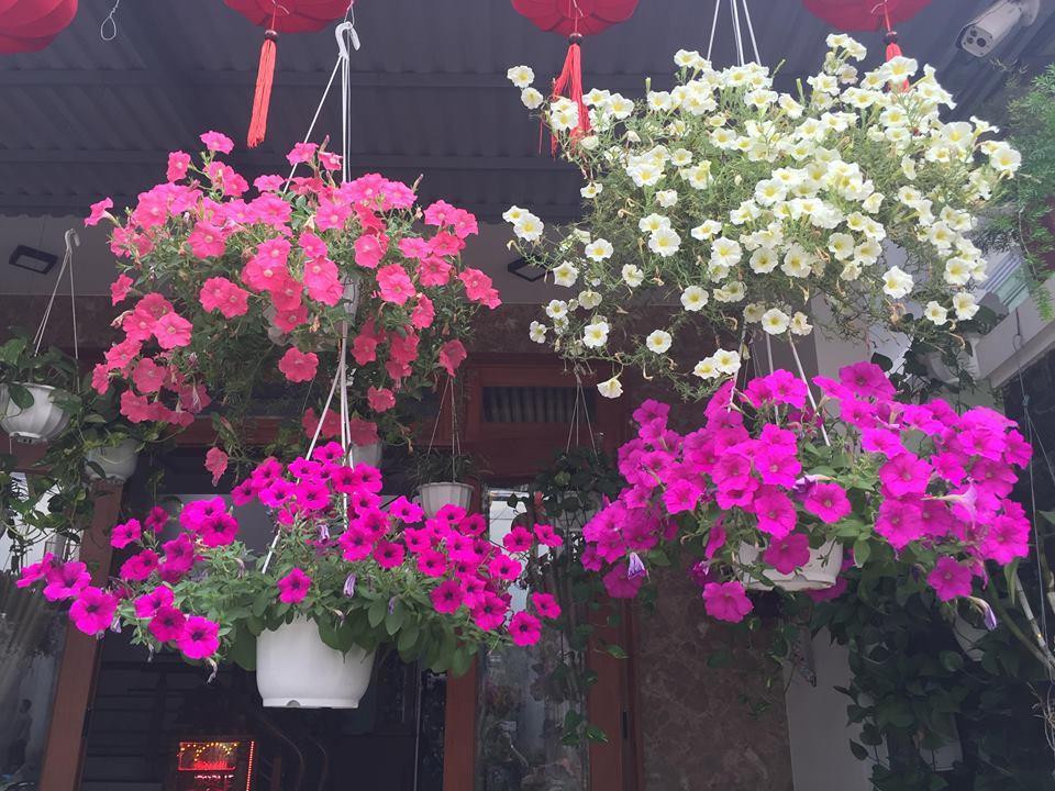 Lantern Riverside Hoi An Exterior photo